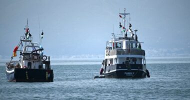 Israeli navy intercepts nine boats from aid flotilla headed to Gaza