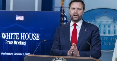 JD Vance predicts a quick shutdown due to Democratic 'cracking'