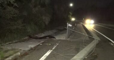 JSO: Teen killed in hit-and-run crash on Arlington Road