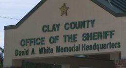 Jacksonville Immigrant Rights Alliance denounces driver's license checkpoint plan for Green Cove Springs