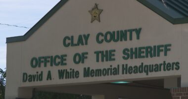 Jacksonville Immigrant Rights Alliance denounces driver's license checkpoint plan for Green Cove Springs