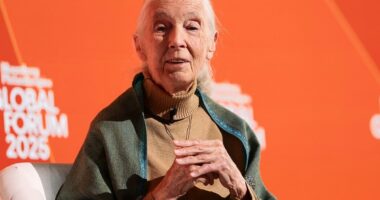 Jane Goodall dead at 91: Primatologist passes away peacefully in US