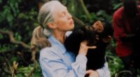 Jane Goodall, renowned chimpanzee researcher and animal advocate, dies at 91
