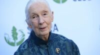 Jane Goodall