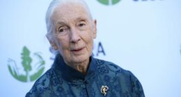 Jane Goodall