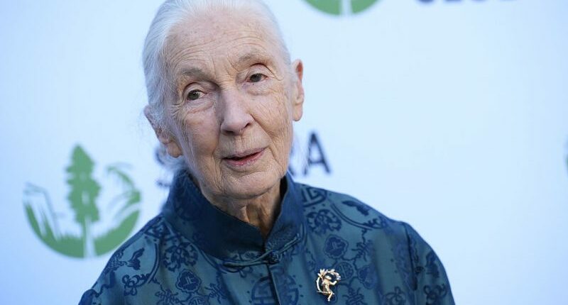 Jane Goodall
