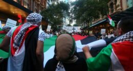 Jewish leaders join police in legal bid to change pro-Palestinian protest