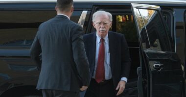 John Bolton pleads not guilty in espionage case that could send fierce Trump foe to jail