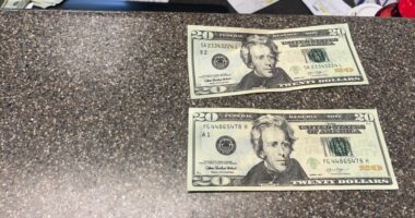 Johns Pass businesses report fake $20 bills; deputies look for those responsible