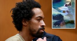 Judge calls Queens man who killed mother, brother ‘demon seed’ during sentencing