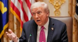 Judge slams Trump admin for 'inaccurate' take on court order