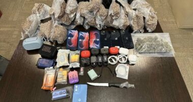 K-9 Rebel aids in capturing trespassers with contraband at state prison