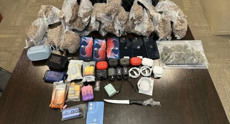 K-9 Rebel aids in capturing trespassers with contraband at state prison