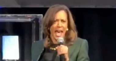 Kamala Harris snaps back at protesters who crashed her book tour