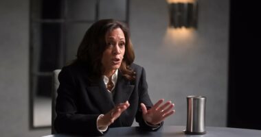 Kamala Harris twists the knife into Joe Biden with brutal account of his doomed debate prep: 'Something was off'