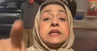 'Karen' in headscarf tries to snatch man's phone as he recorded aftermath of crash involving her Mercedes G-Wagon