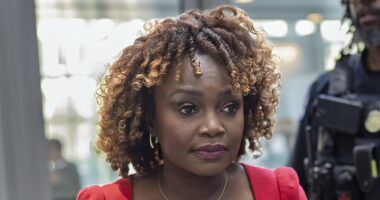 Karine Jean-Pierre accuses Biden's messaging guru of racism as nasty civil war breaks out among former president's aides