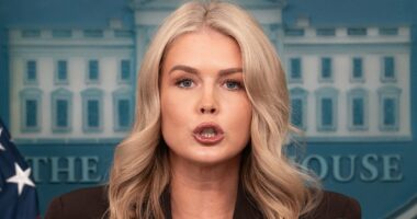 Karoline Leavitt clashes with Kaitlan Collins over Portland