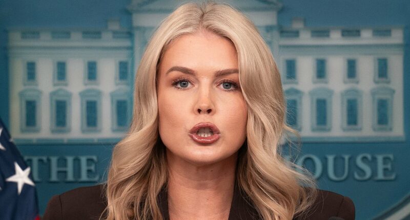 Karoline Leavitt clashes with Kaitlan Collins over Portland