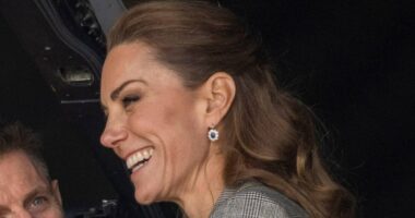 Kate Middleton leaves royal fans 'in awe' as she effortlessly climbs down aircraft boarding stairs backwards in heels
