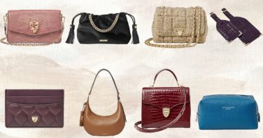 Kate Middleton's favourite handbag brand has just released their Christmas collection - here's everything in my basket