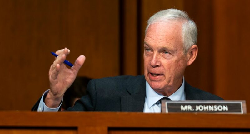 Key GOP senator offers proposal to pay essential and furloughed workers during shutdown