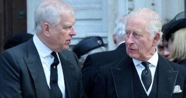 King considers banishing Prince Andrew from Order of the Garter - as it emerges he could give up all of his titles