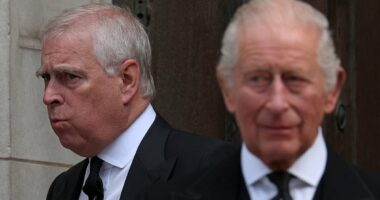 King threatened to shame Andrew by stripping titles unless he agreed