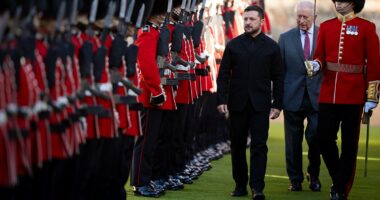 King welcomes Volodymyr Zelensky for audience at Windsor Castle 