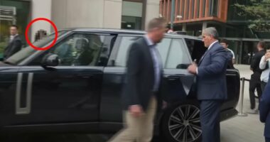 Known stalker 'came within feet of Prince Harry when he was in the UK'