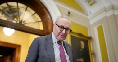 Knudsen: Democrats Are Completely Delusional About Their Shutdown