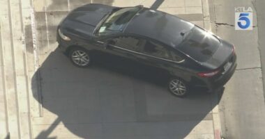 L.A. City Hall locked down after man barricades himself