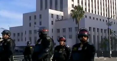 L.A. County declares state of emergency over raids