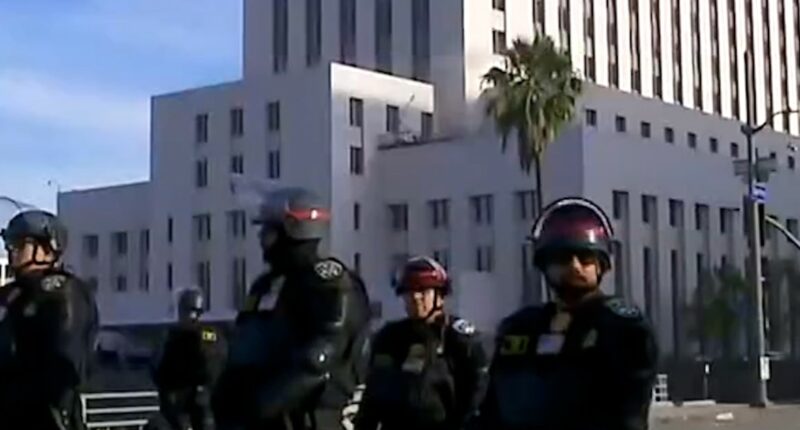 L.A. County declares state of emergency over raids
