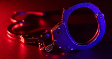 L.I. driver who killed pedestrian only had learner’s permit: cops