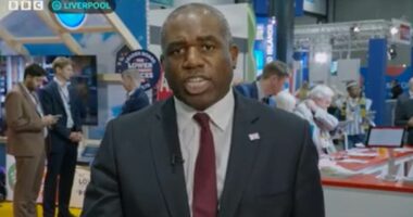 Lammy apologises for accusing  Farage of 'flirting with Hitler Youth'