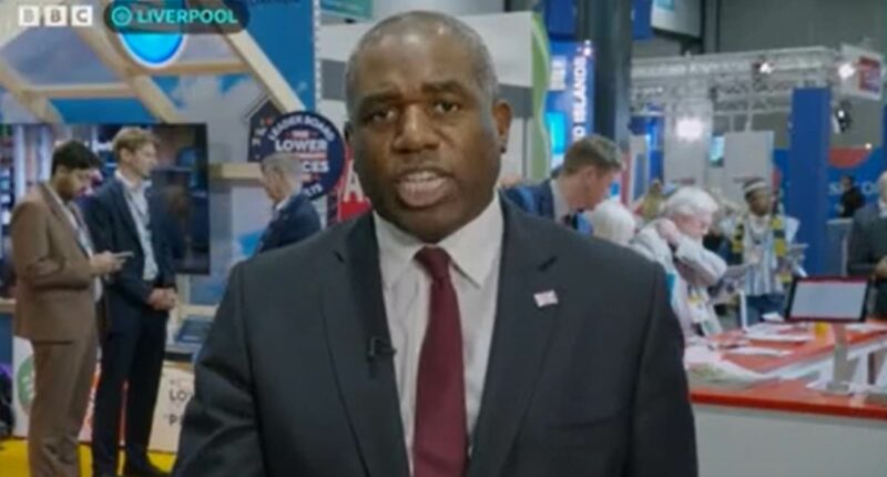 Lammy apologises for accusing  Farage of 'flirting with Hitler Youth'