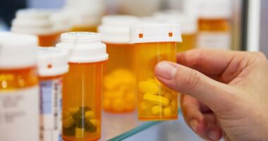 Law enforcement holds medicine takeback event in Pinellas County