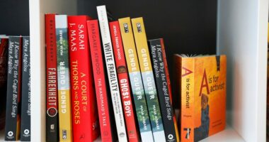 Lawsuit filed in response to SC book ban decision