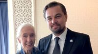 Leonardo DiCaprio leads stars paying tribute to Jane Goodall