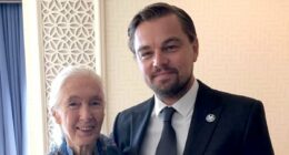 Leonardo DiCaprio leads stars paying tribute to Jane Goodall