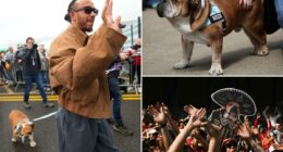 Lewis Hamilton mourns beloved dog ahead of Mexico's Day of the Dead