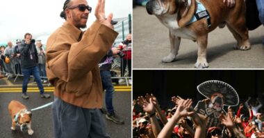 Lewis Hamilton mourns beloved dog ahead of Mexico's Day of the Dead