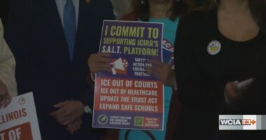 Limiting ICE presence top priority for some Illinois lawmakers as they return for veto session