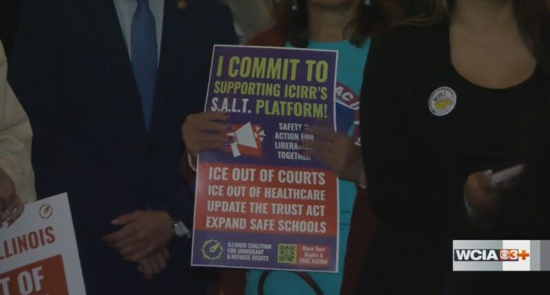 Limiting ICE presence top priority for some Illinois lawmakers as they return for veto session