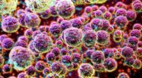 Little-known bacteria causing increasing rates of potentially deadly infections