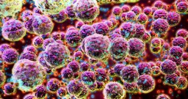 Little-known bacteria causing increasing rates of potentially deadly infections