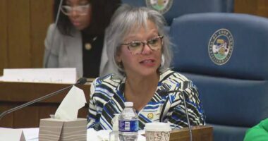 Live: Lawmakers hear from witnesses on Trump actions in Chicago