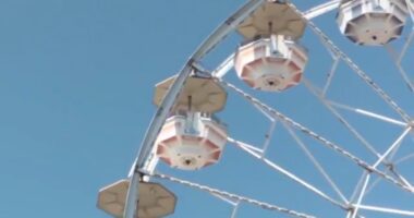Live at Georgia-Carolina State Fair: Thursday is Coca-Cola night for $7 admission