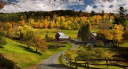 Locals living in foliage places adopt smart ways to keep tourists out